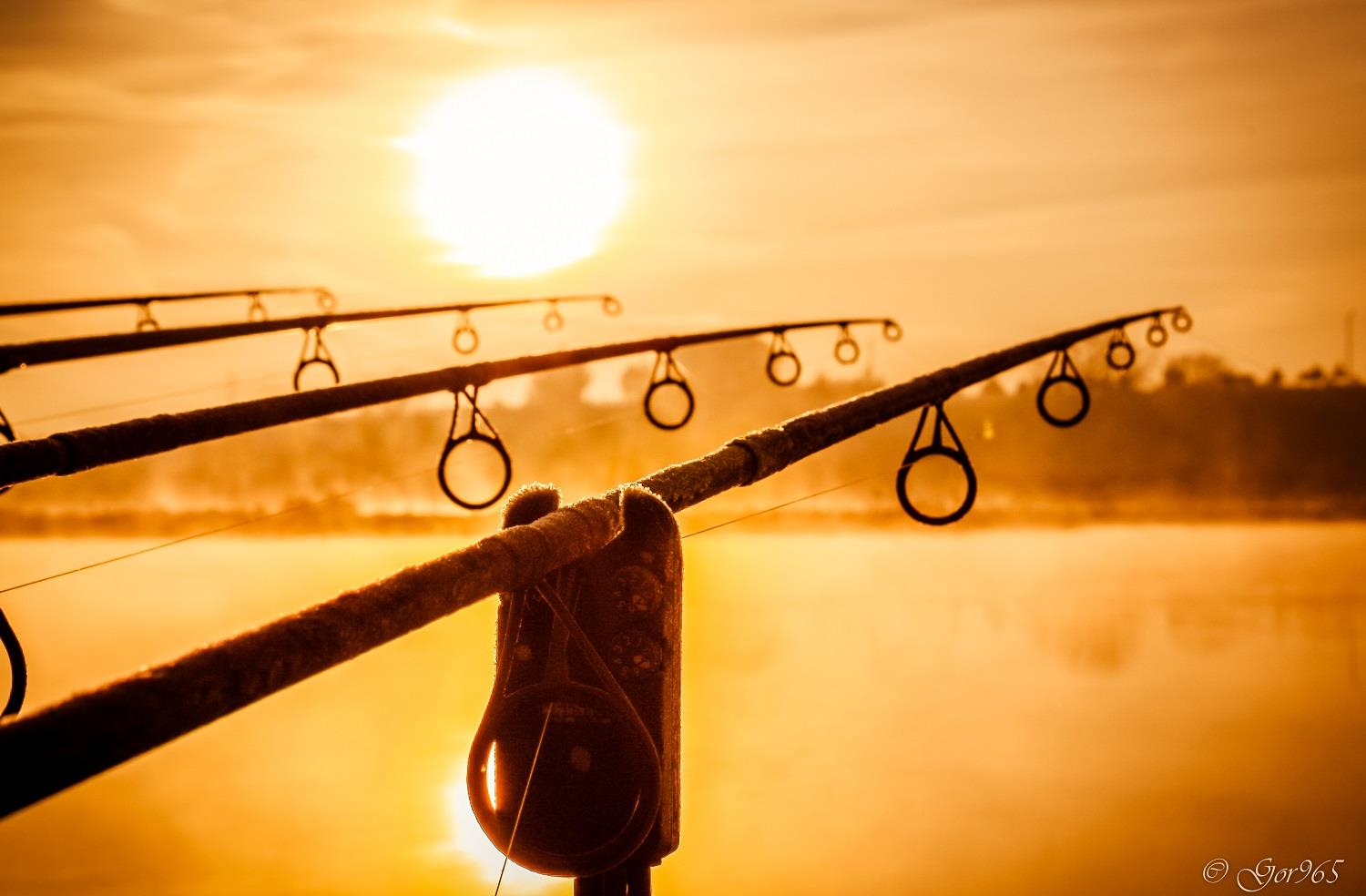 Solunar pescuit 2018. Afla cand este bine sa pescuiesti sau cand sa stai acasa.